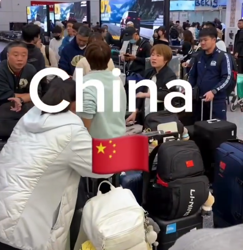 专业趣博服务